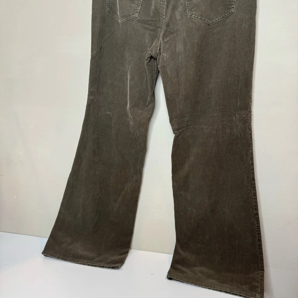 Ann Taylor Loft Original Bootcut Corduroy Pants in Olive size 12